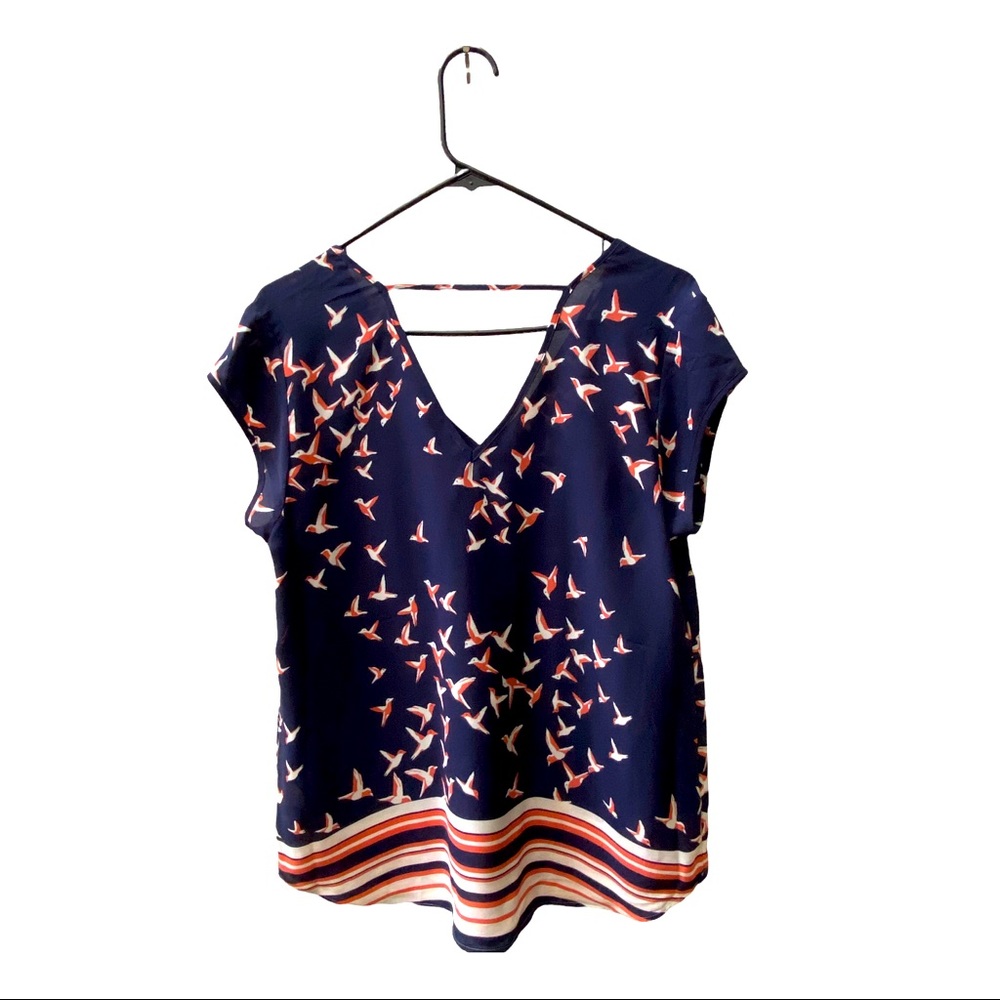 Beautiful flock of birds top.